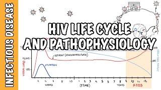 Human immunodeficiency virus (HIV) - life cycle, pathophysiology, investigations, diagnosis and AIDS