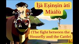 Yoruba folktale: Ija esinsin ati maalu - The fight between the Housefly and the Cattle