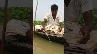 টেংরা মাছ ধরার ম্যাজিক টোপ | Tengra fishing tope#shorts