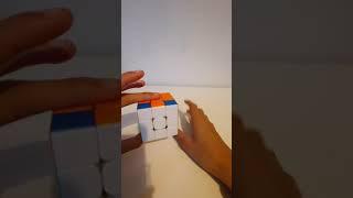 HOW TO DO A D2 FLICK A PERM
