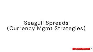 Seagull spread - CFA level 3 tutorial