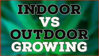 Indoor VS Outdoor Growing?! - DER VERGLEICH