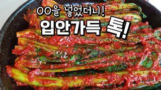 알싸하고 톡! 쏘는 갓김치 비법️ 나눠 절이면 쉽게 성공해요