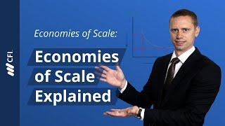 Economies of Scale Explained