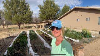 “Creating Our 1st Market Garden Beds to Grow Flowers & Food”Small Farm Vlog, Progress & Plans 2023