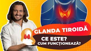 Glanda Tiroidă - Ce este și cum funcționează?