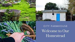 Welcome to Our Homestead | City Farmhouse | Slow Living