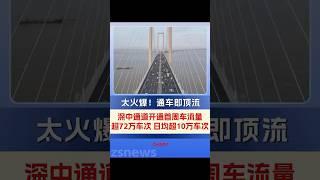 太火爆了！深中通道開通後首周總車流量最新公佈#中山#深圳#深中通道