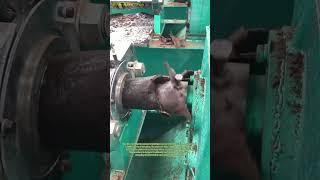Efficient Oil Extraction: Rapeseed Cake Grinding with a Screw Press