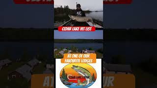 Cedar Lake Ontario highlight reel from Cedar Lake Lodge #muskyfishing #thisisreallife