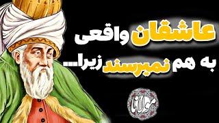 سخنان و اشعار مولانا رومی درباره زندگی و عشق که هر مرده ای را زنده میکند.