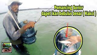 Mancing Ikan Bebulus / Berujung Ketemu Pemancing Senior || Dapat Ikan Bebulus Besar ( Kakoi )