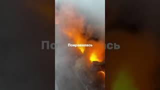 Все о биокаминах, электрокаминах и паровых каминах у нас в профиле! #паровойкамин #камины