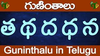 త థ ద ధ న గుణింతాలు| Tha Ttha Dha Ddha Na guninthalu | How to write Telugu guninthalu @TeluguVanam ​