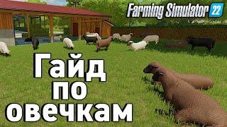 Советы,эксперименты по овцам! Farming Simulator 22 Какие овцы дают больше шерсти