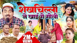 शेख़चिल्ली के उलटे सीधे कारनामे - शेखचिल्ली ने खाई गे गोली - #Shekhchilli New Comedy 2024