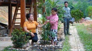 Harvesting ginger for sale, Growing ornamental plants, Daughter comes home on weekends