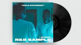 Free BRYSON TILLER Sample 2021 "Cold November" RnB, Trapsoul