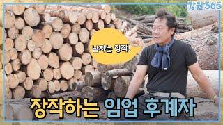 장작 패는 남자! 임업후계자 최광운 대표 / MBC강원영동 230919 방송