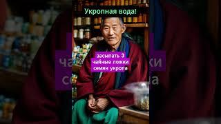 Укропная вода! #здоровье #народнаямедицина #рецепты