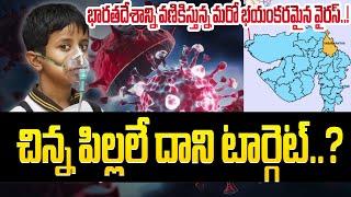 భారతదేశాన్ని వణికిస్తున్న మరో భయంకరమైన వైరస్..!  చిన్న పిల్లలే దాని టార్గెట్..? | Planet Leaf