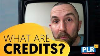 How Do PLR.me Credits Work?