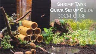 Shrimp Tank Quick Setup Guide - 30cm CUBE PLANTED AQUARIUM
