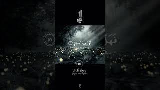 Best tilawat in the world  - Qur'an ️ #quran