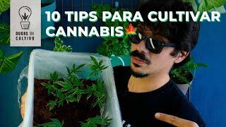 #DUDASDECULTIVO: 10 TIPS PARA CULTIVAR CANNABIS COMO PROFESIONAL  