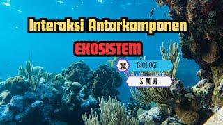 Materi Ekosistem || Interaksi Antarkomponen Ekosistem || Biologi SMA