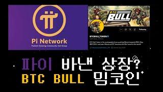 파이코인 바이낸스 상장? 파이가 주는 교훈 BTC BULL 밈코인 프리세일