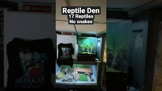 Reptile Den with 17 reptiles  #handmade #enclosures #reptiles #queaquatics #animals #pondlife #fish