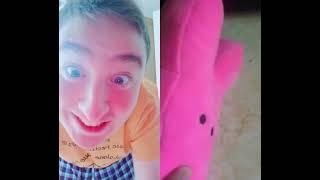 Colton and Toro Tiktok Compilation