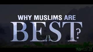 Why Muslims are Best? || a Beautiful Reminder || IslamSearch