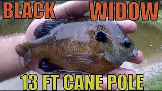 CANE POLE FISHING PANFISH 13FT BLACK WIDOW