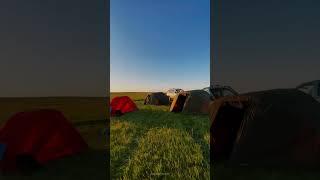 Kasachstan KZ Тараз Мерке Алмату Мерке Тюльпаны 2023