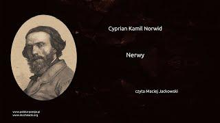 Cyprian Kamil Norwid - Nerwy