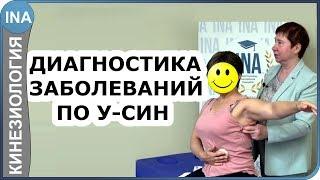 Диагностика заболеваний по системе У-СИН. Прикладная кинезиология. Проф. Васильева