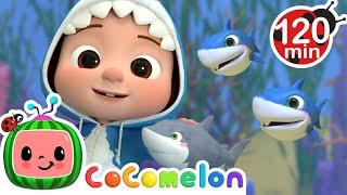 Baby Shark Happy Hide and Seek! | CoComelon | Animals for Kids | Sing Along | Learn about Animals