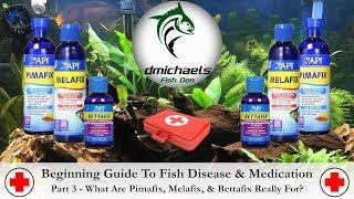 What Are Pimafix, Melafix, And Bettafix For?  Guide To Disease And Medication Part 3