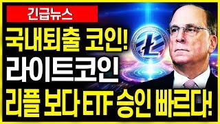 국내에서는 거래가 안되는 라이트코인,,다크코인이 어째서 ETF로?!