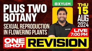 Plus Two Botany - Sexual Reproduction in Flowering Plants - One Shot Revision | Xylem Plus Two