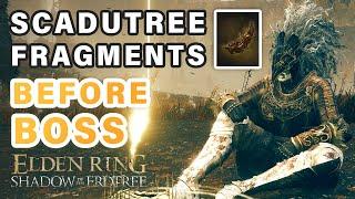 Scadutree Fragments you can get BEFORE First Boss ► Elden Ring