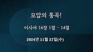 2024년 11월 27일(수) 오늘의 말씀