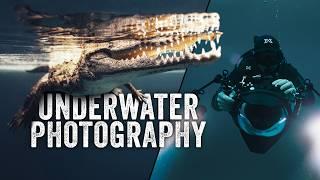 Underwater Photography w/ Mick Friis | Wild Talk #1