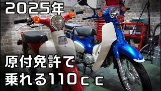 原付免許で乗れる110cc！？2025年新原付制度について