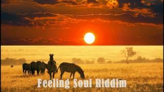 Feeling soul riddim  - Romain des Bois Remix