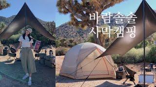 미국캠핑 vlog. 사막캠핑 할만하네, 별이 쏟아지는 조슈아트리, ️캠핑메뉴 추천