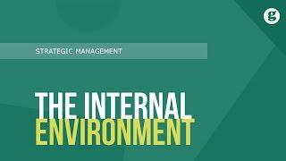 The Internal Environment