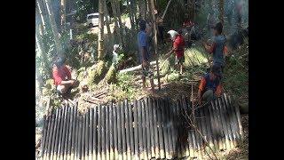 Nikah di Toraja butuh Banyak Bab1